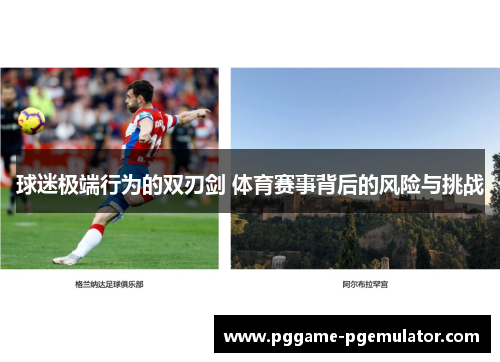 球迷极端行为的双刃剑 体育赛事背后的风险与挑战