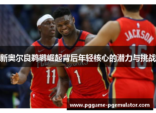 新奥尔良鹈鹕崛起背后年轻核心的潜力与挑战 新奥尔良鹈鹕崛起背后年轻核心的潜力与挑战