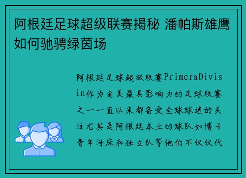 阿根廷足球超级联赛揭秘 潘帕斯雄鹰如何驰骋绿茵场 阿根廷足球超级联赛揭秘 潘帕斯雄鹰如何驰骋绿茵场